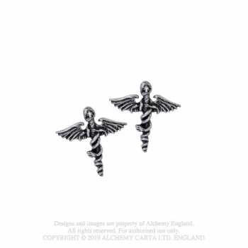 Merch Mötley Crüe: Oorbellen Swords