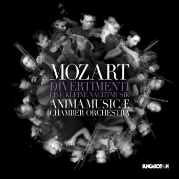 Album Wolfgang Amadeus Mozart: Divertimenti / Eine Kleine Nachtmusik