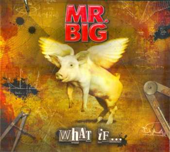 LP/CD/DVD/Doos Mr. Big: What If... DLX | DIGI