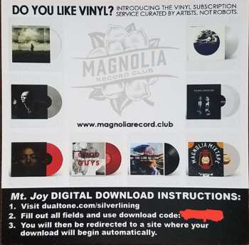 LP Mt. Joy: Mt. Joy