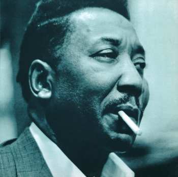 2CD Muddy Waters: King Of The Blues - The Best Of Muddy Waters