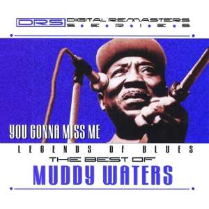 CD Muddy Waters: The Best Of Muddy Waters