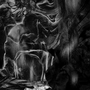 LP Oranssi Pazuzu: Muuntautuja