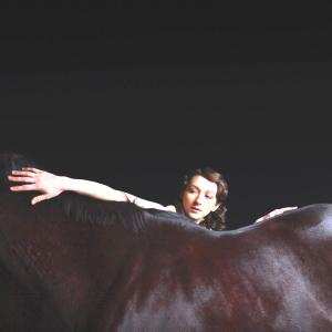 Album My Brightest Diamond: Bring Me The Workhorse