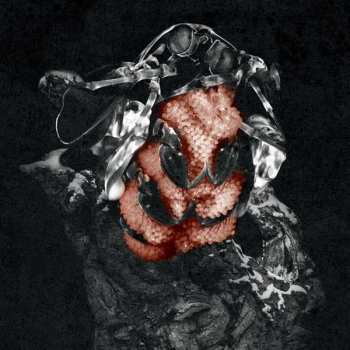 CD My Lonely Sea: Gloom