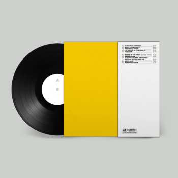 LP My Name Is Ian: Fantastic Company