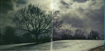 CD Mystery: Beneath The Veil Of Winter's Face