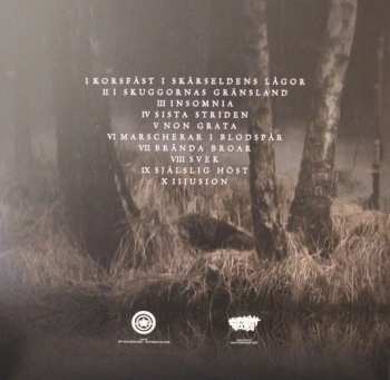 LP Myteri: Illusion