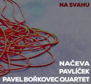 Michal Pavlíček: Na Svahu