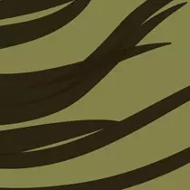 Nacht Plank: Septs Vents