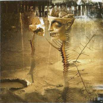 CD Nail Within: Nail Within