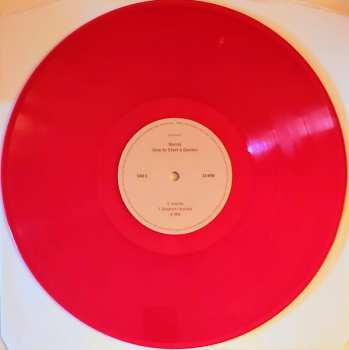 2LP Nanna Bryndís Hilmarsdóttir: How to Start a Garden