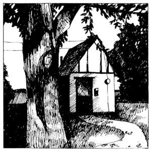 Album Naomi Lewis: Cottage Songs