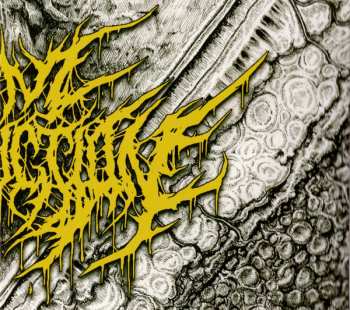 CD I Am Destruction: Nascency DIGI