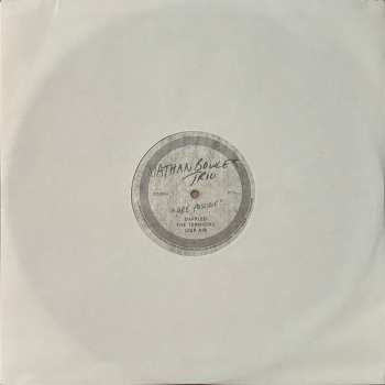 LP Nathan Bowles Trio: Are Possible