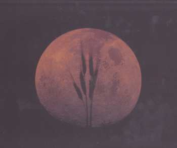 2LP Neil Young: Harvest Moon LTD