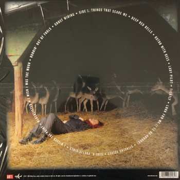 LP Neko Case: Blacklisted