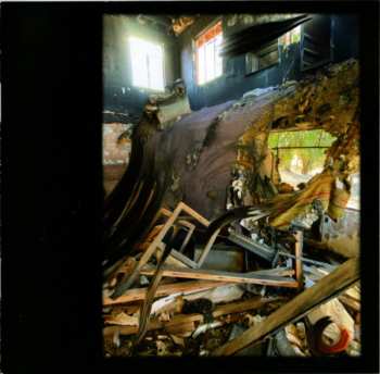 CD Neko Case: Neon Grey Midnight Green