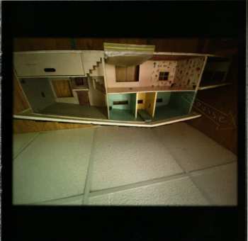 CD Neko Case: Neon Grey Midnight Green