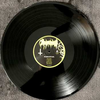 LP Nekrofilth: Worm Ritual