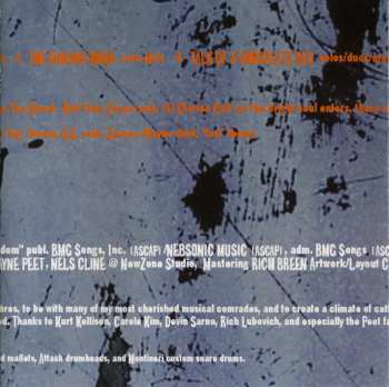 CD Nels Cline: Destroy All Nels Cline
