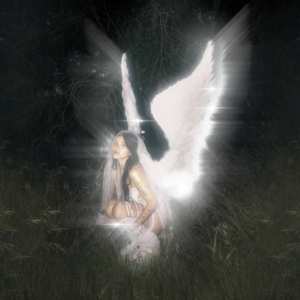 LP Nessa Barrett: Young Forever LTD | CLR