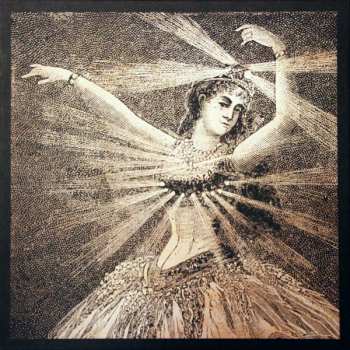 Album Neutral Milk Hotel: NMH Vinyl Box Set