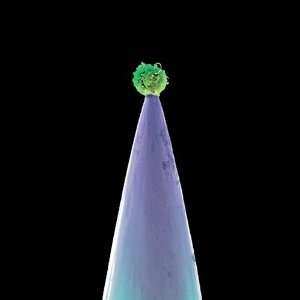 Album Peter Gabriel: New Blood