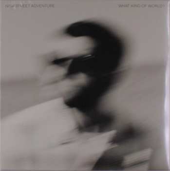 Album New Street Adventure: What Kind Of Life