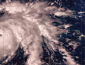 CD Newman: Into The Monsters' Playground