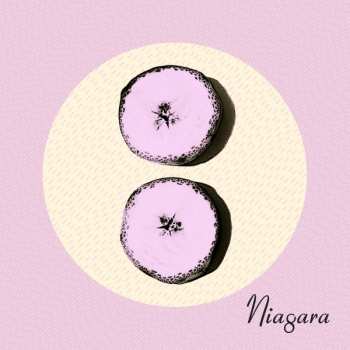 Album Niagara: Otto