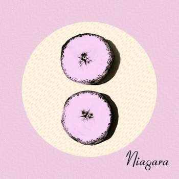 CD Niagara: Otto