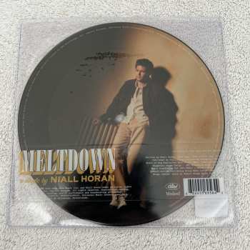 SP Niall Horan: Meltdown PIC | LTD