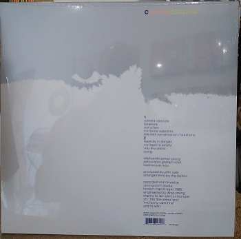 LP Nico: Camera Obscura LTD | CLR
