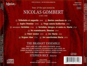 CD Nicolas Gombert: Tribulatio Et Angustia