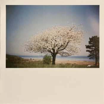 2LP Nicolas Michaux: Amour Colère
