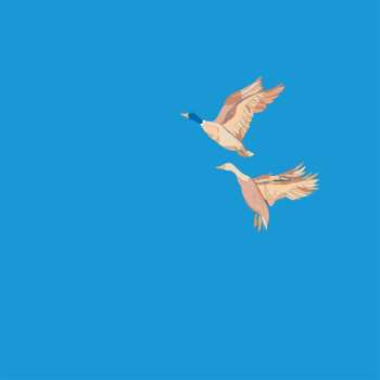 Album Niko: Hallo & Ciao