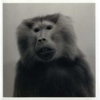 CD Nils Petter Molvær: Baboon Moon