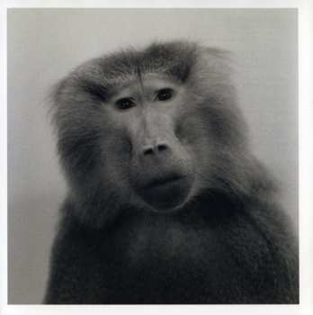 CD Nils Petter Molvær: Baboon Moon