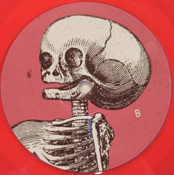 LP Niña Coyote Eta Chico Tornado: Niña Coyote Eta Chico Tornado CLR | LTD