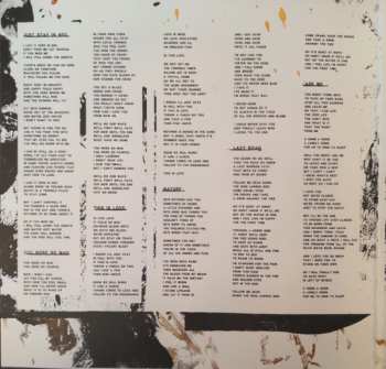 LP Nina Nastasia: Riderless Horse LTD | CLR