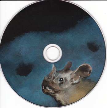 CD Ninos Du Brasil: Vida Eterna