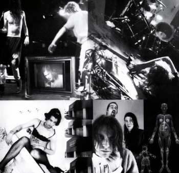 LP Nirvana: In Utero