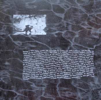 LP Nirvana: Nevermind