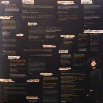 2LP Nneka: Victim Of Truth LTD | NUM | CLR
