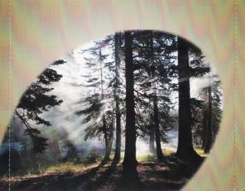CD No Artist: Nature Sounds - Wald
