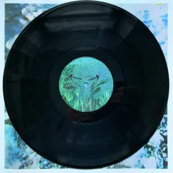 LP No-Man: Heaven Taste