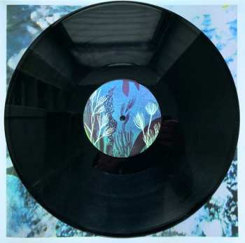 LP No-Man: Heaven Taste