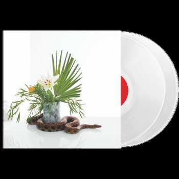 2LP Noah Gundersen: White Noise LTD | CLR