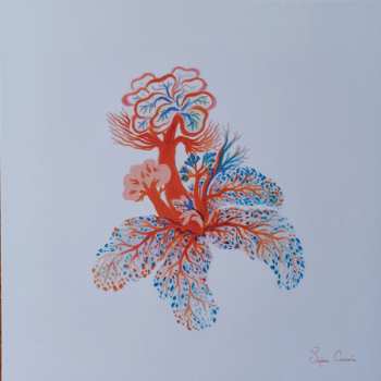 LP Noah Vanden Abeele: Magnolia